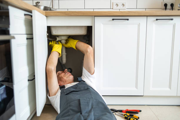 Professional Plumbing in Orwigsburg, PA