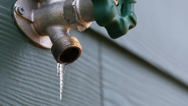 Best Local Plumber Services  in Orwigsburg, PA